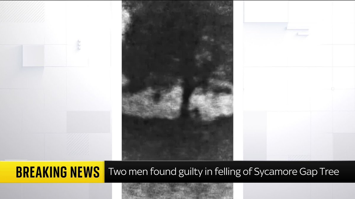 Two men have been found guilty of cutting down the iconic Sycamore Gap tree, which stood for over 150 years. Daniel Graham and Adam Carruthers caused more than £620,000 in damage. Sky's Shingi Mararike has all the details. 📺 Sky 501 and YouTube