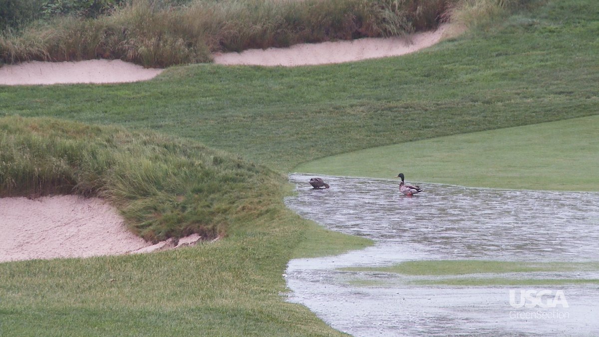 Golf is an outdoor sport. Here's what you can do to minimize the negative impacts of a rainy round.