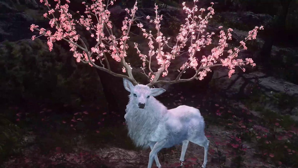 New Objective: Find the Legendary Shika Deer 🌸 Found when Sakuras are in bloom 🌕 Seen only in the light of the moon ⛰️ Look to the high ground of the meadows South of the Yoshino Kakurega How many Legendary animals have you discovered? #AssassinsCreedShadows