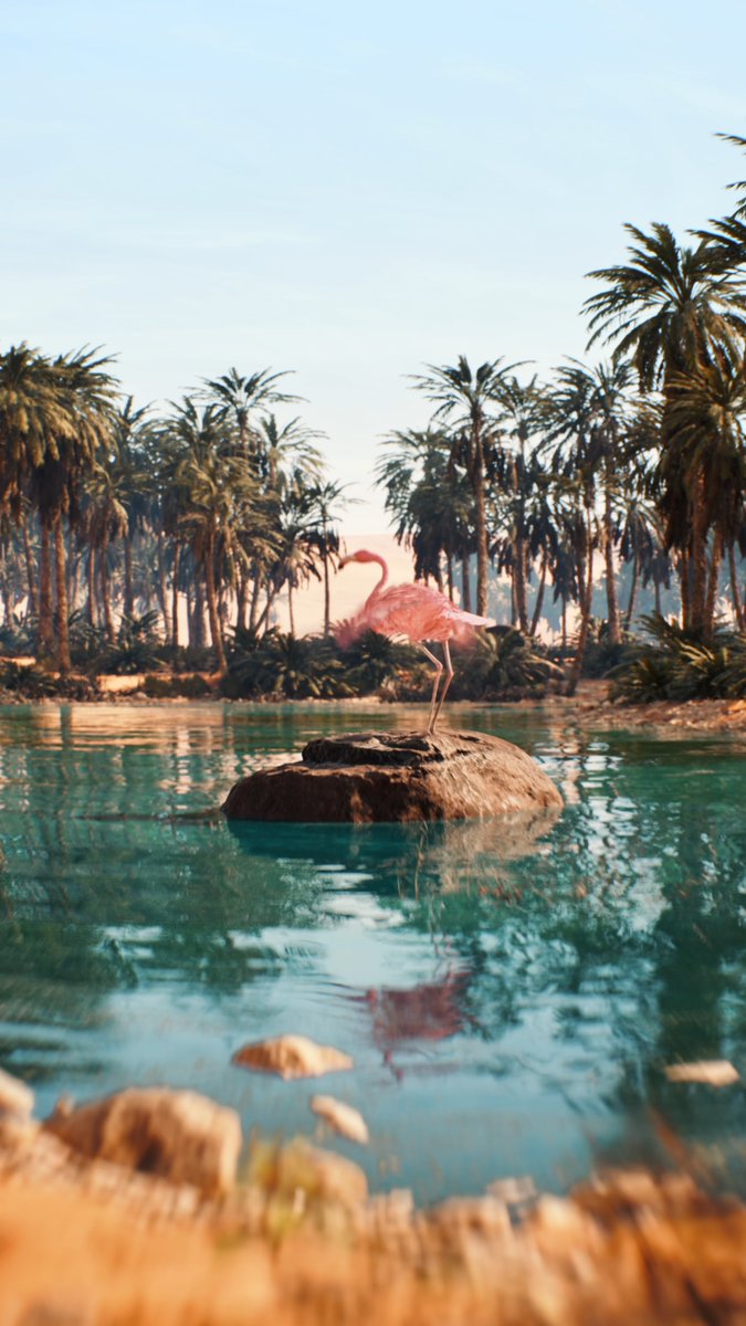 The Flamingo Go Pool is still under construction but here's a hype vid to tide you over