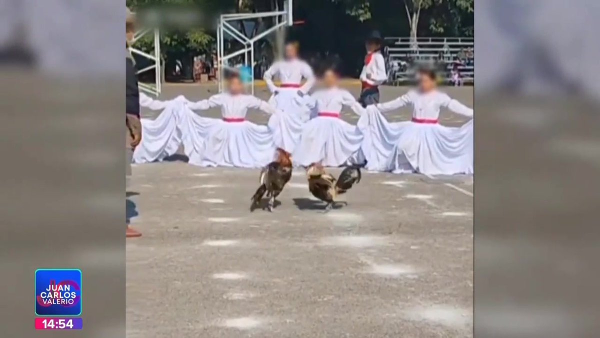 #Video || Una pelea de gallos fue el cierre de un baile en el festival del Día de las Madres del CENHCH. #NoticiasPuebla #Puebla #JuanCarlosValerioNoticias