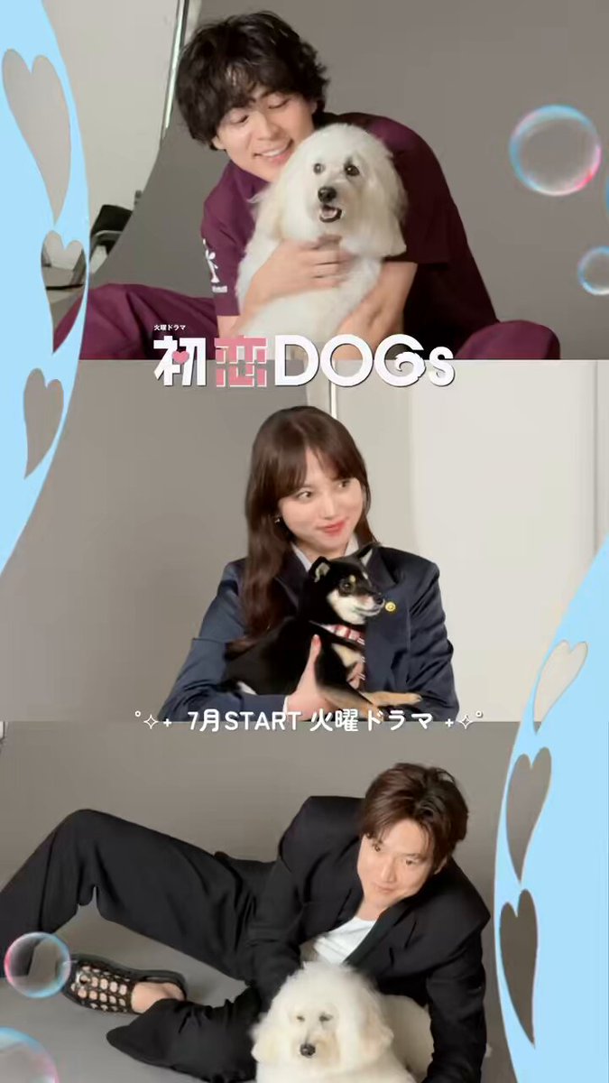 ＼ 🐾 7月START🫶🏼 ／ 火曜ドラマ『#初恋DOGs』 •┈┈•┈┈•┈┈• ┈┈• ┈┈• 今日は将軍とサクラとの ビジュアル撮影の様子をお届け🎥 ⸝⸝ 可愛すぎてメロメロ〜🫧 そして今後も沢山更新していくので まだフォローしてない方は今のうちに フォローを✔️ #清原果耶 #成田凌 #ナ・イヌ