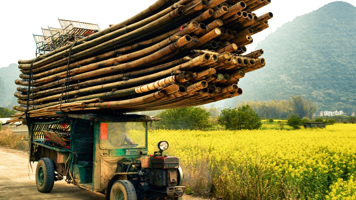 This is how bamboo is going to replace paper and plastic.