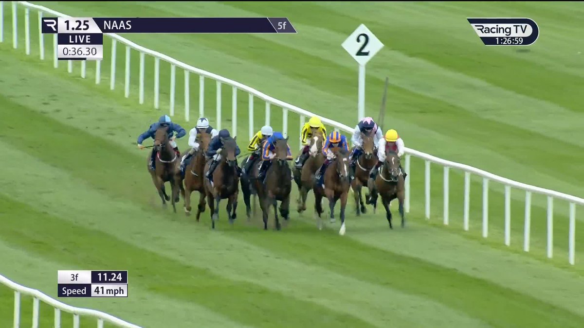 ✅ Off the mark First Approach (No Nay Never x Alphabet) gives Aidan O'Brien a quickfire across-the-card double Naas Racecourse