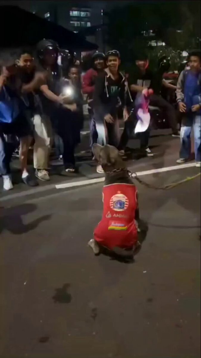 Ide siapa ini woyy, btw ngakak anjir 🤣