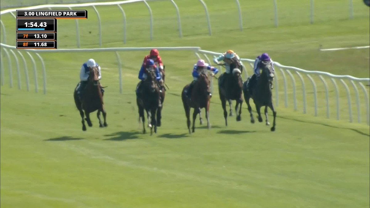 Ballydoyle are pulling all the strings! Puppet Master beats stablemate Stay True to clinch the William Hill Lingfield Derby Trial Stakes 🥇 #ITVRacing | Lingfield Park