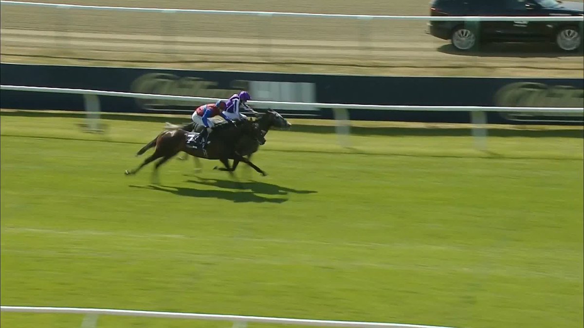 🗣️ "What more can he do?" Did Richard Kingscote do enough on Stay True in the William Hill Lingfield Derby Trial? 🤔 #ITVRacing
