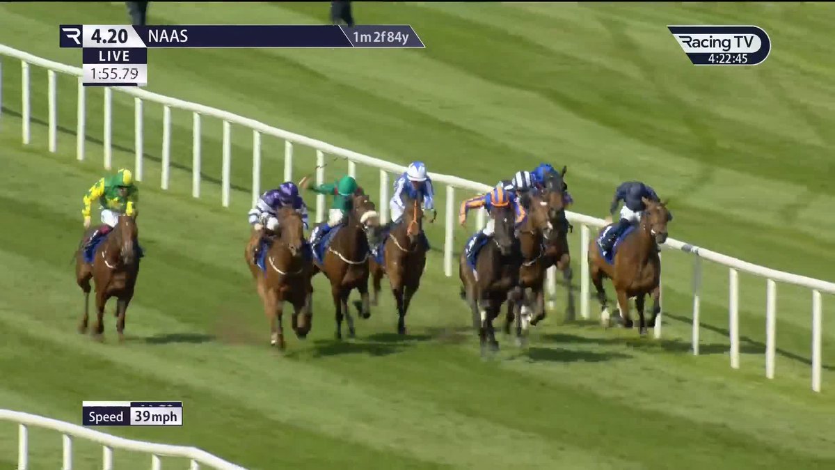 €200,000 buy Garden Of Eden (Saxon Warrior x Komedy) wins the Oaks Trial for yet another winner for Aidan O'Brien Naas Racecourse 🏆