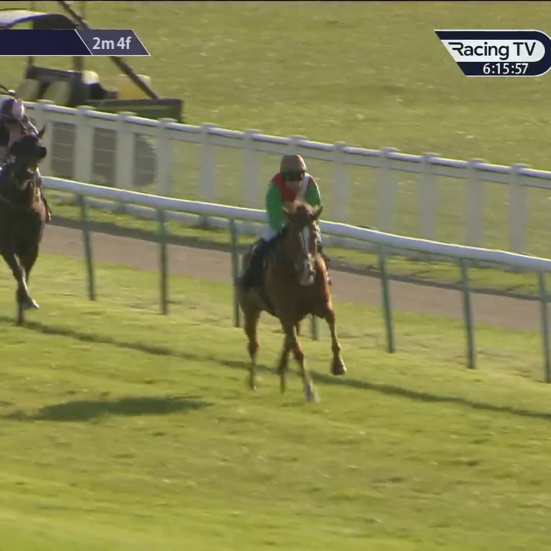 1/50 shot Doyen Quest wins Warwick Racecourse