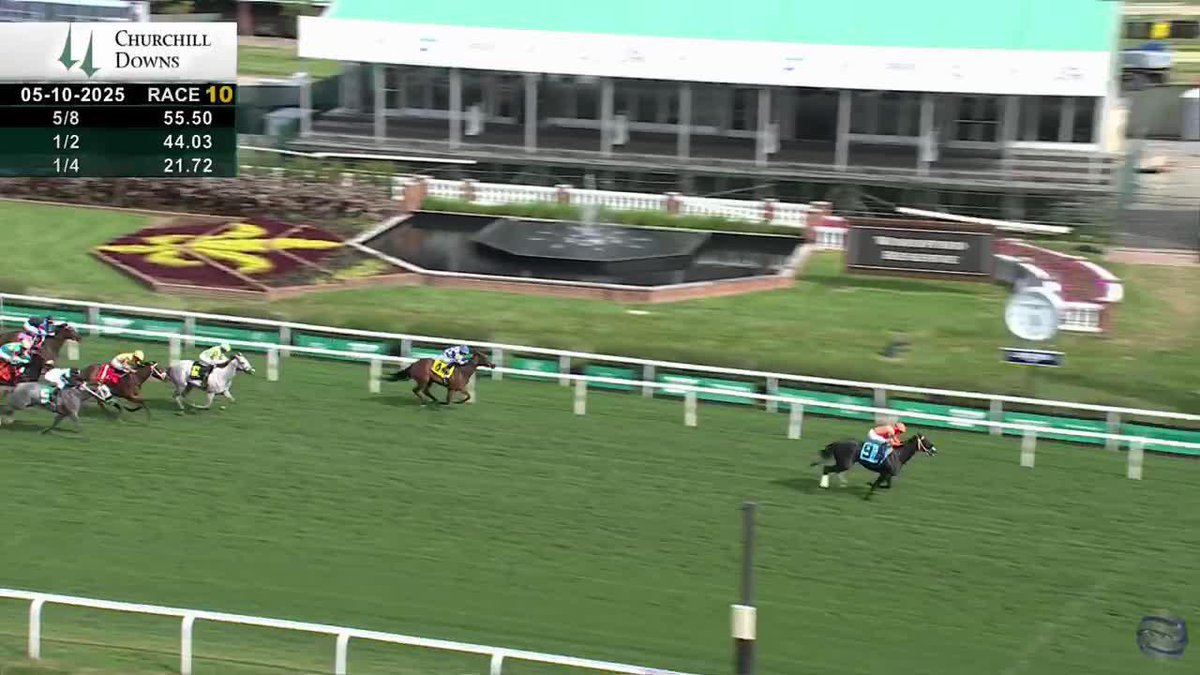 Back-to-back stakes wins for Shisospicy in the G3 Mamzelle at Churchill Downs! 🌶️ Jose Ortiz was aboard for trainer Jose F D'Angelo. 🎥 TwinSpiresReplay