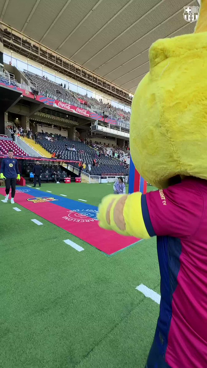 Cat greets the goalkeepers! 😻 #ElClásico