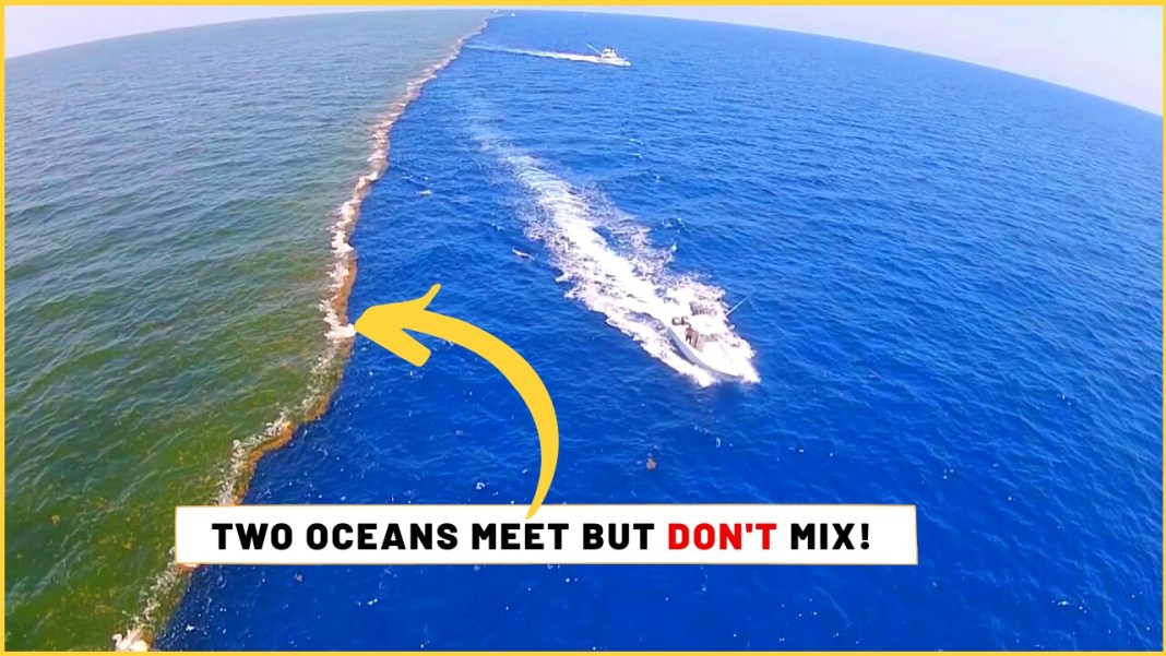 Nature is Amazing ☘️ Why the Atlantic and Pacific Ocean don't mix ...👇👇