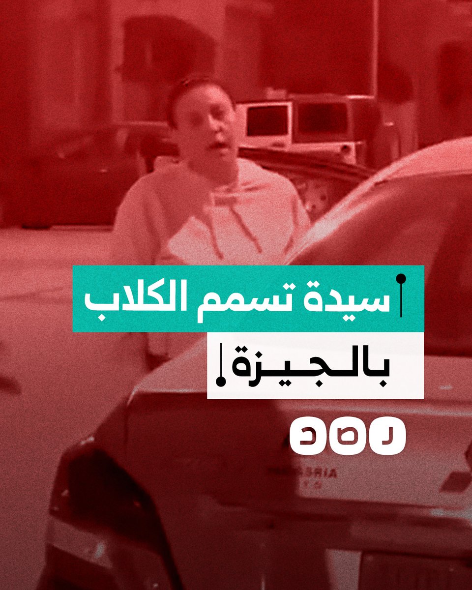 سيدة تثير الذعر في مجمع "دجلة بالمز" السكني في الجيزة بسبب سم الكلاب.. ماذا فعلت؟