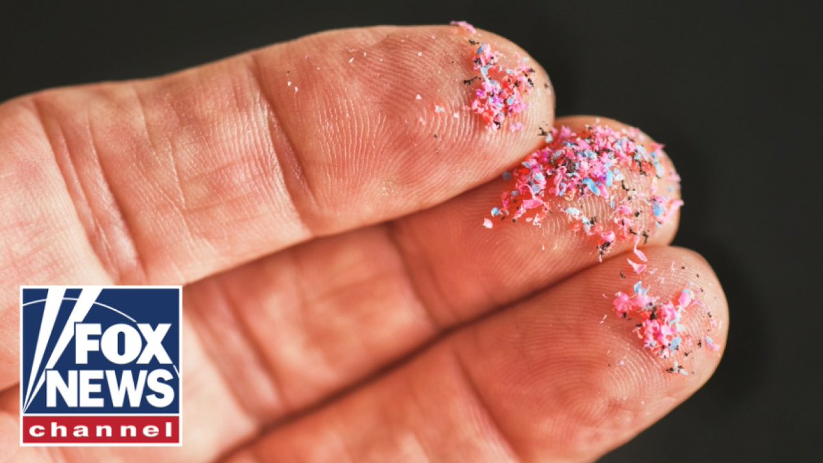Your brain may contain as much plastic as a plastic spoon. Nicole Saphier, MD breaks down troubling new study on health.
