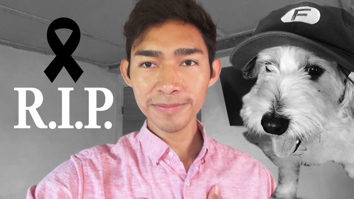 "Curly": Porque Fernanfloo contó que murió su perro Curly