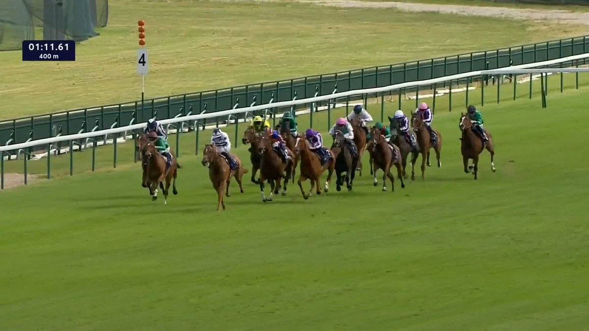 "Horses don't run in lanes, do they?" Mike Cattermole looks back on a controversial renewal of the Poule d'Essai des Pouliches...