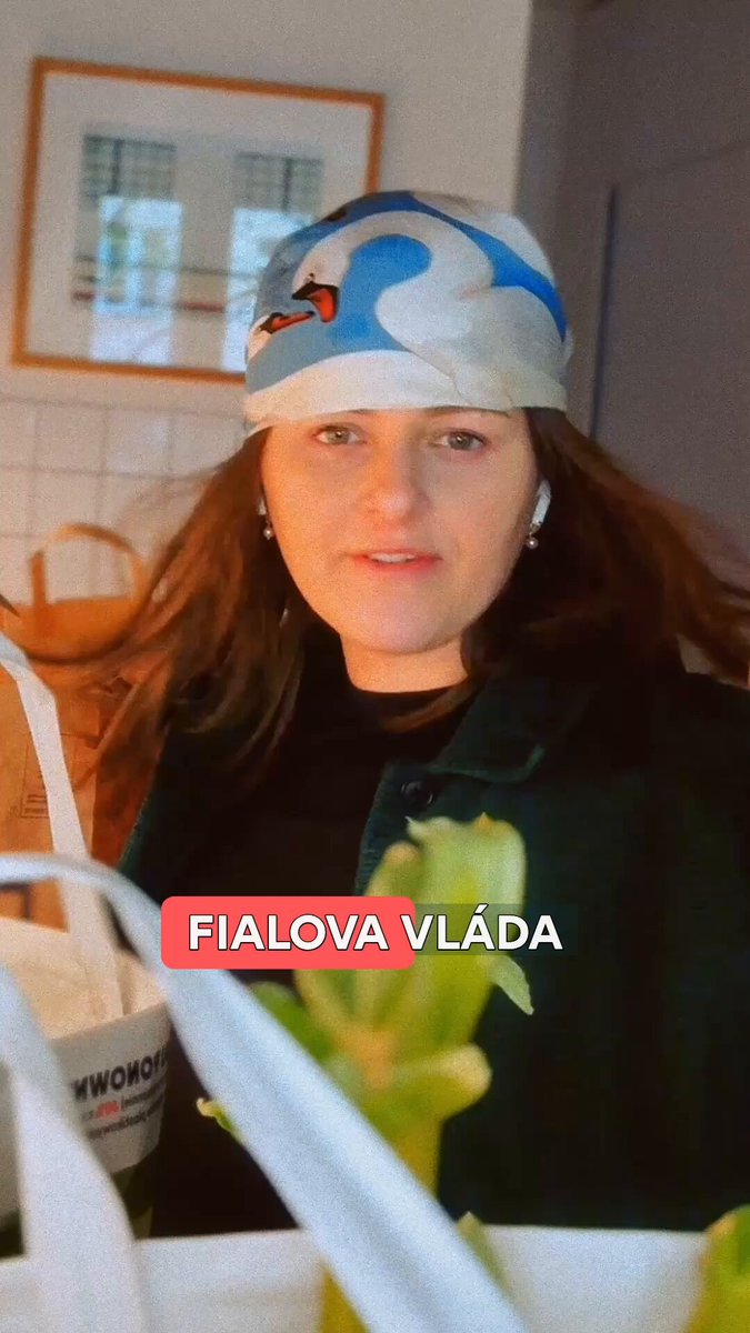 Stejný obchod, stejný nákup, o čtvrtinu levněji. Proč to v Polsku 🇵🇱 jde a u nás ne?