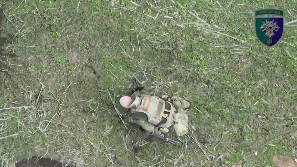 While the work of exterminating the russian occupiers is underway, the animal world continues its life.