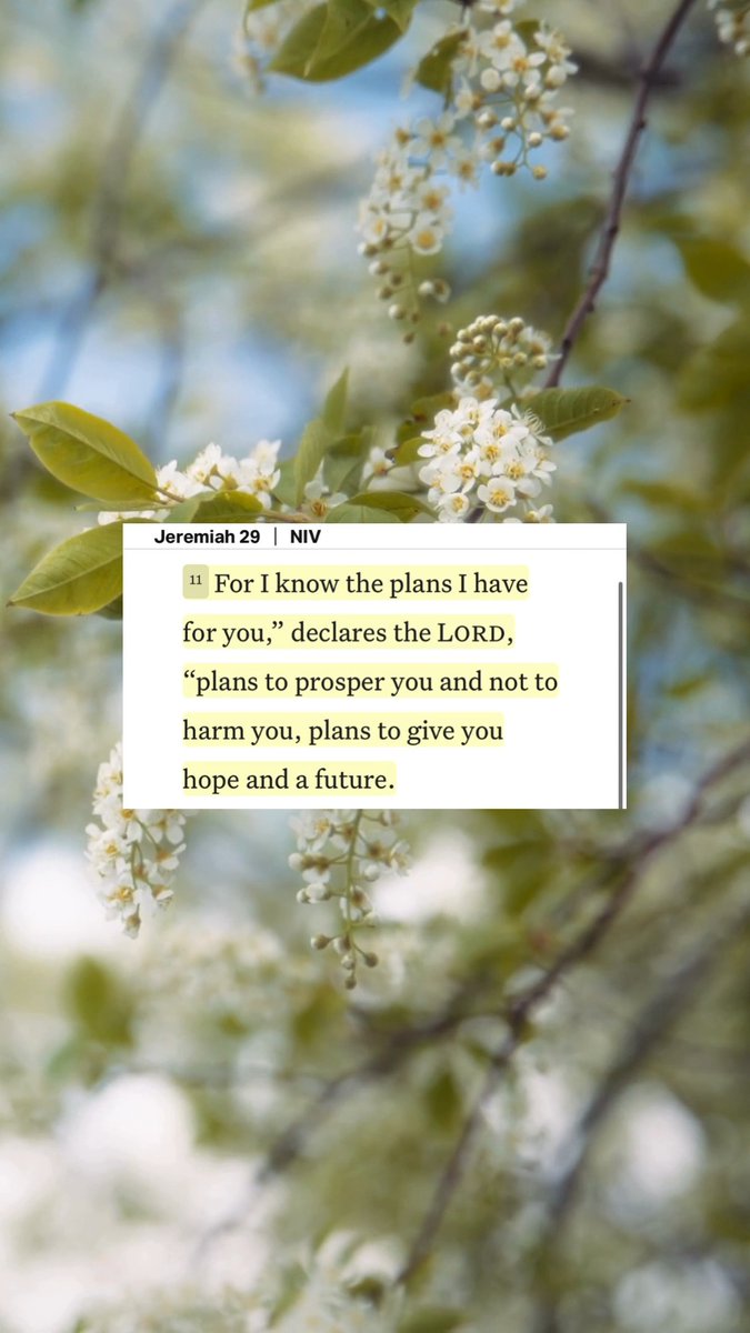 Jeremiah 29:11
