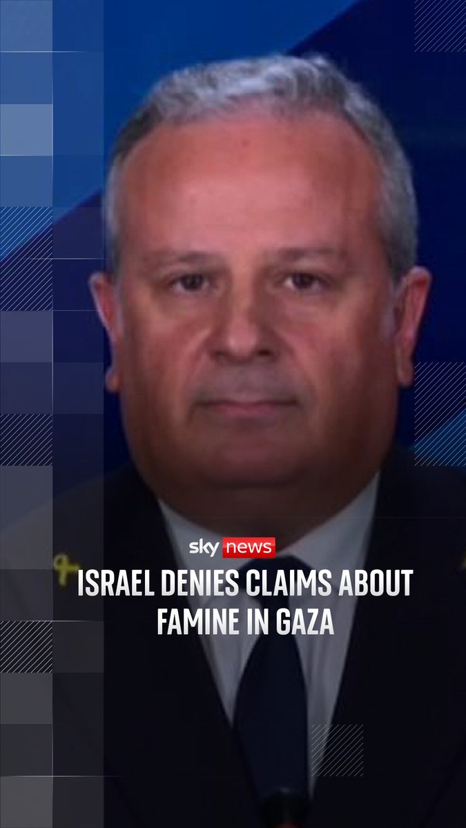 Israeli government spokesperson David Mencer denied claims from the Integrated Food Security Phase Classification that the entire population of Gaza is at risk of famine.