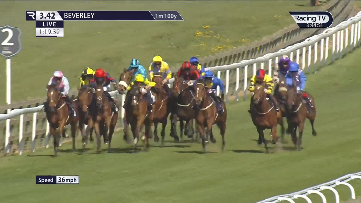 Coolree lands the Download The Raceday Ready App Handicap for the second year in succession, for the duo of Luke Morris and Lemos de Souza 🔥