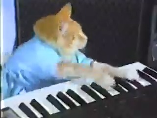 Keyboard Cat (2007)