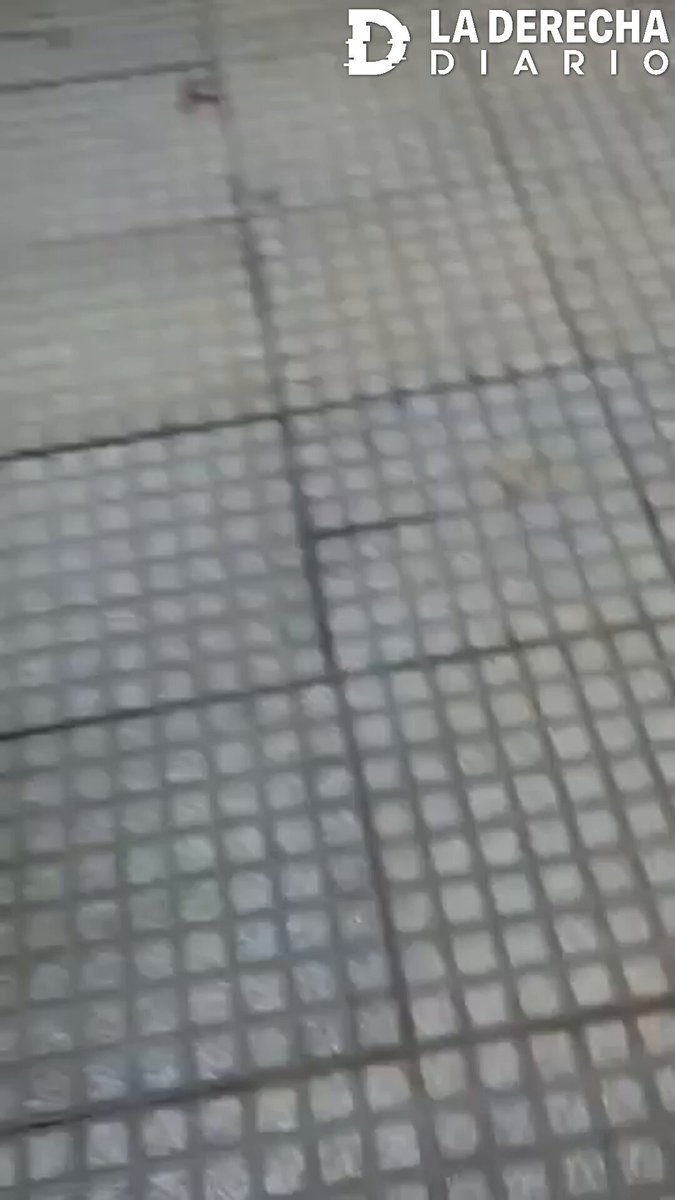 🚨🇦🇷 | #URGENTE El periodista Mariano Pérez (Mariano Pérez) cagó a piñas en legítima defensa a un kirchnerista que lo atacó en la calle.