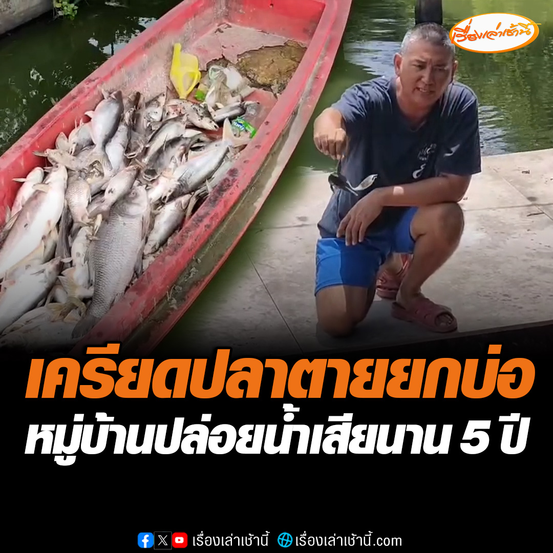 เจ้าของบ่อปลาสุดทน หมู่บ้านดังปล่อยน้ำเสียนาน 5 ปี ทำปลาตายยกบ่อ มูลค่าความเสียหายกว่า 3 ล้าน เผยเคยแจ้งหมู่บ้านไปแล้ว แต่ไม่ได้รับการแก้ไข ทำเมียเครียดหนักจนป่วยแพนิค #เรื่องเล่าเช้านี้ #ข่าวช่อง3 #ข่าวภูมิภาค #นนทบุรี