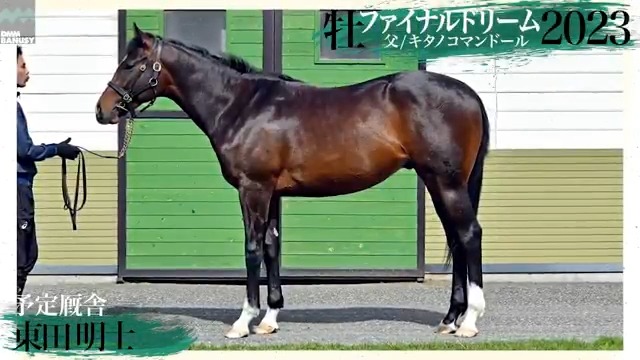 ファイナルドリーム2023(牡.2歳) 父 キタノコマンドール 母 ファイナルドリーム 厩舎 東田 明士/関西 募集総額 1000万円/1000口 一口金額(一括) 10000円 一口金額(分割) 3340円/3回 父母共にクラブ馬 物語の続きが始まる 5月20日(火)18時頃 募集開始予定 ▽詳細へ