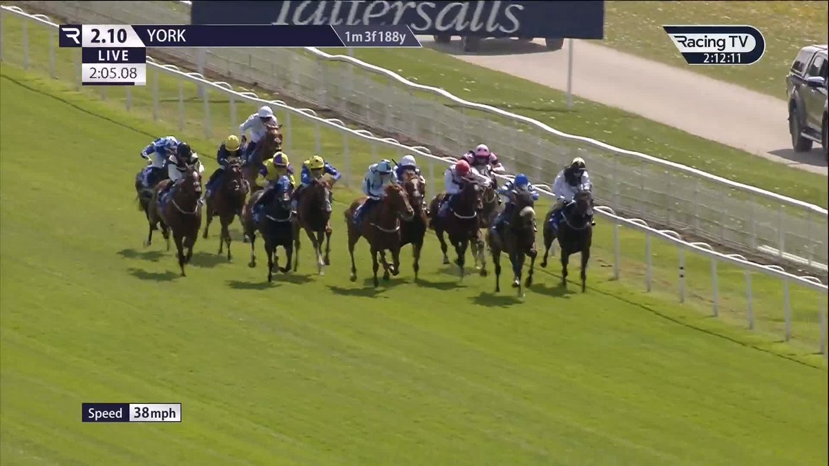 ALMOSH’HER wins for the newsletter at 15/2 SP. Group horse in a handicap: