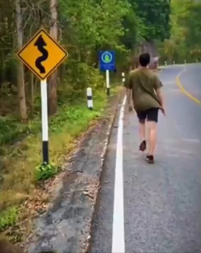 Patuhilah rambu lalu lintas!!!