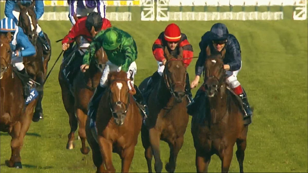NAME THAT HORSE ๐๐ It's quiz time with Richard Hoiles! Submit your answers in the comments below ๐ #ITVRacing | #DanteFestival | Richard Hoiles