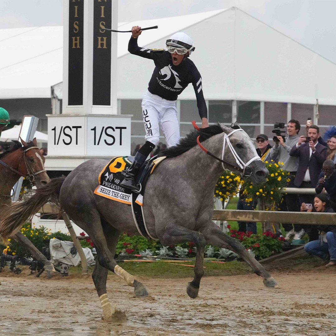 “Seize the Grey WON’T GO AWAY!” 🔥 Last year’s Preakness Stakes brought ALL the drama at Pimlico. #Preakness150