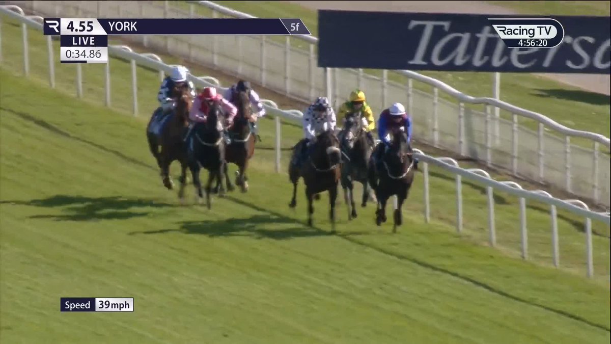 🚀 From last to first for 260,000gns buy Ballistic Missile (Mehmas) Richard Hannon | York Racecourse