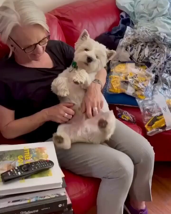 Pupper living the best life..🐕🐾😍