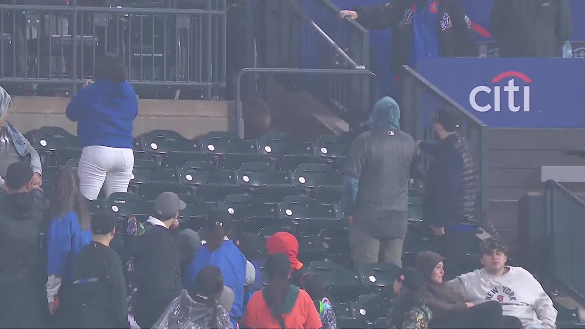 A raccoon made it into Citi Field