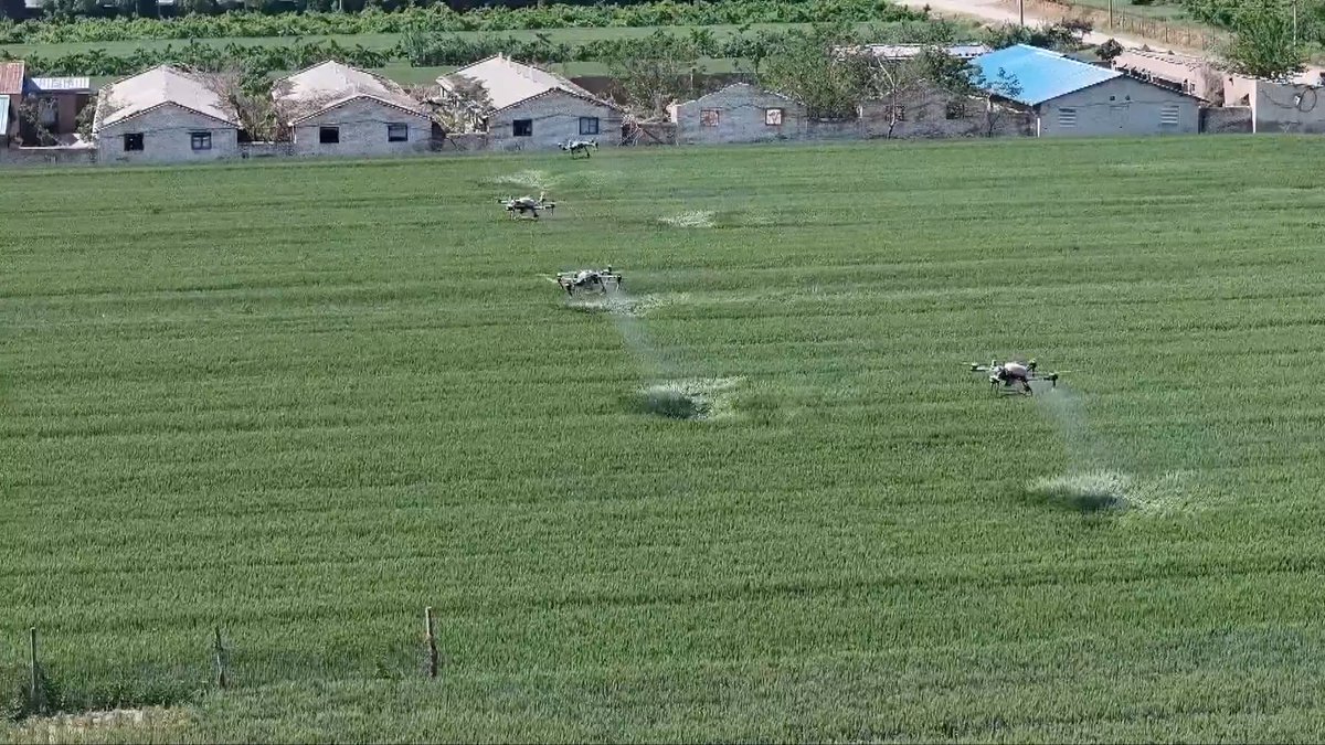 Drones and automated harvesters help Chinese farmers increase yields