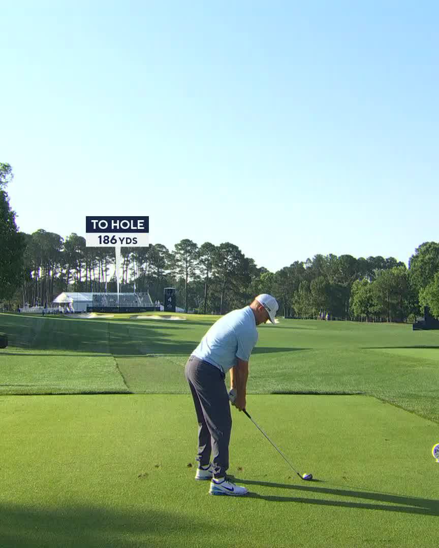 Alex Noren in a pin seeking mood ⛳ #PGAChamp