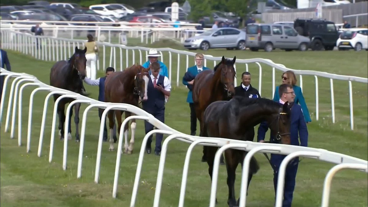 🗣️ "There could be an awful lot of IMPROVEMENT" 👀 Aidan O'Brien on The Lion In Winter 🟠🔵 #ITVRacing