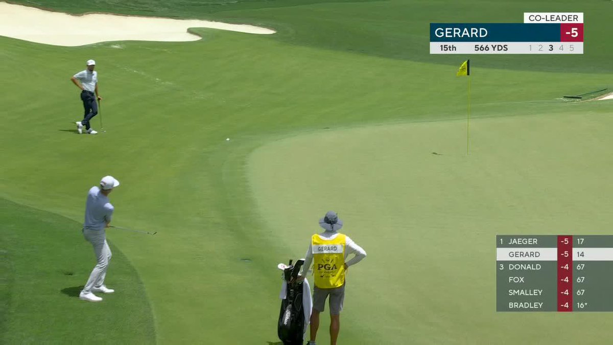The touch on this chip for eagle 😮‍💨🦅