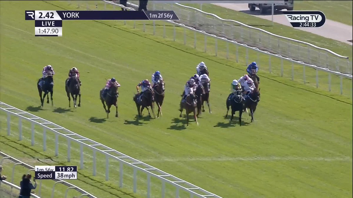 Belting finish! 𝐓𝐡𝐮𝐧𝐝𝐞𝐫 𝐑𝐮𝐧 (5-1) storms to a pulsating victory over Tony Montana in the 1m2½f handicap York Racecourse 🌬️ Karl Burke | Clifford Lee