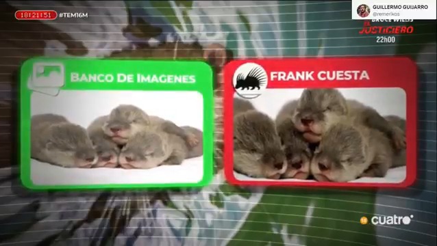Estos y otros bulos publicados por Frank Cuesta usando imágenes de terceros y diciendo que eran animales rescatados por él los analizamos recientemente. Puedes verlo en youtube: