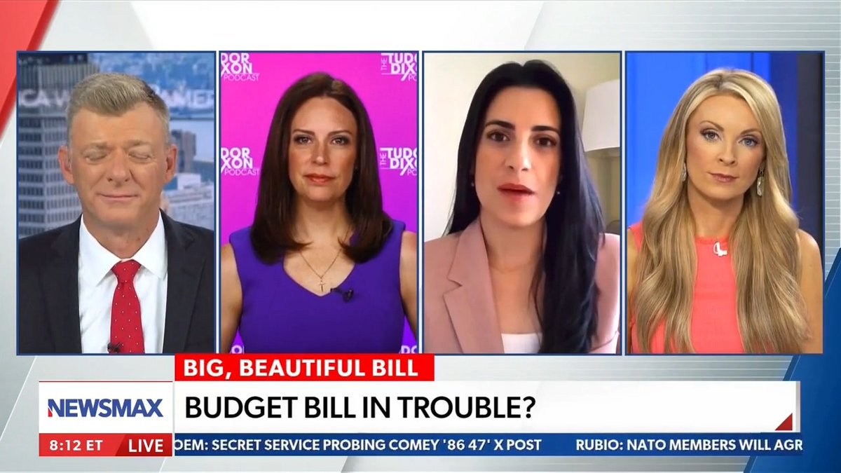 It's time to pass President Trump's BIG, BEAUTIFUL BILL! "We received a mandate from the American people in November." - Danielle Alvarez Why is every Democrat against a bill that would HELP the American people?