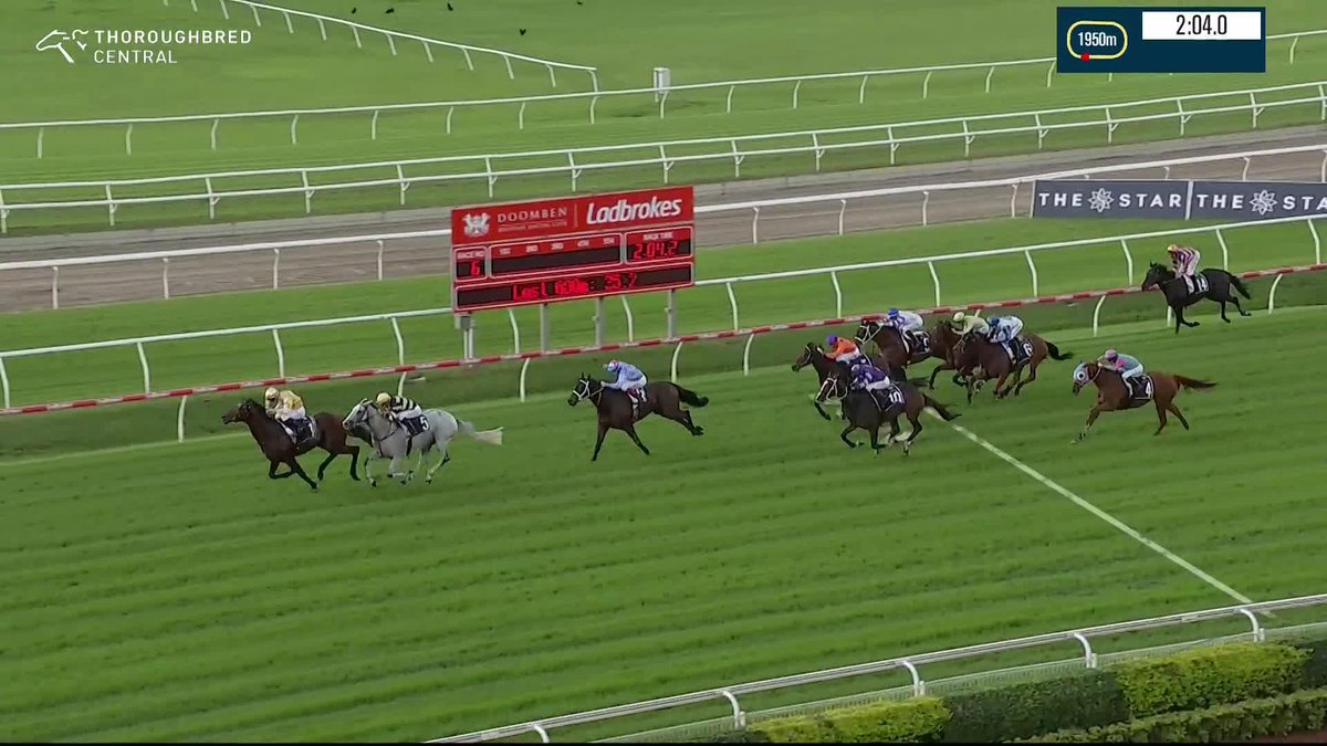 Sir Delius impresses in his Australian debut, surging to victory at Doomben! Gai Waterhouse AO Tim Clark