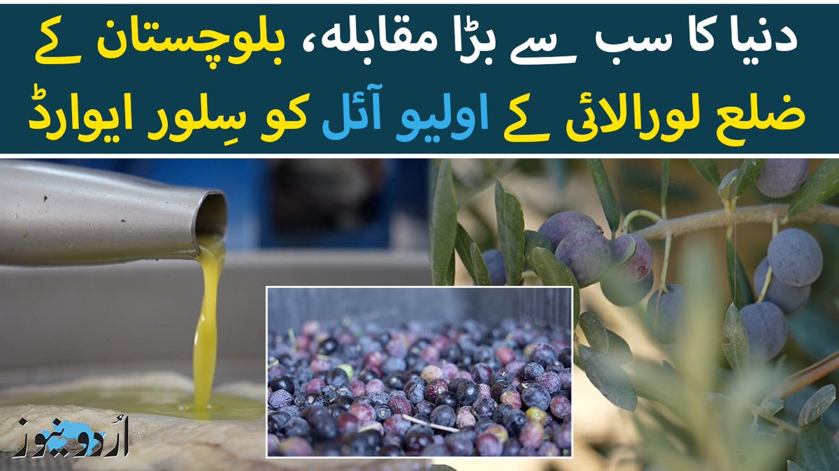 ’نیویارک انٹرنیشنل اولیو آئل کمپیٹیشن‘، دنیا کے سب سے بڑے زیتون کے تیل کے مقابلے میں ضلع لورالائی کے ایک کسان کے باغ سے حاصل کردہ تیل کو عالمی سطح پر بہترین معیار کا تسلیم کیا گیا ہے۔ 1200 سے زائد برانڈز نے شرکت کی جس میں ’لورالائی اولیوز‘ نے سلور ایوارڈ حاصل کیا۔ #oliveoil