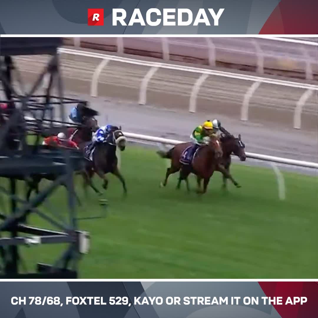 Makram does what he does best, causing a blowout result at Flemington 😂💰 Lindsay Park Racing's enigmatic gelding rode the rail for an easy win in the end 👏