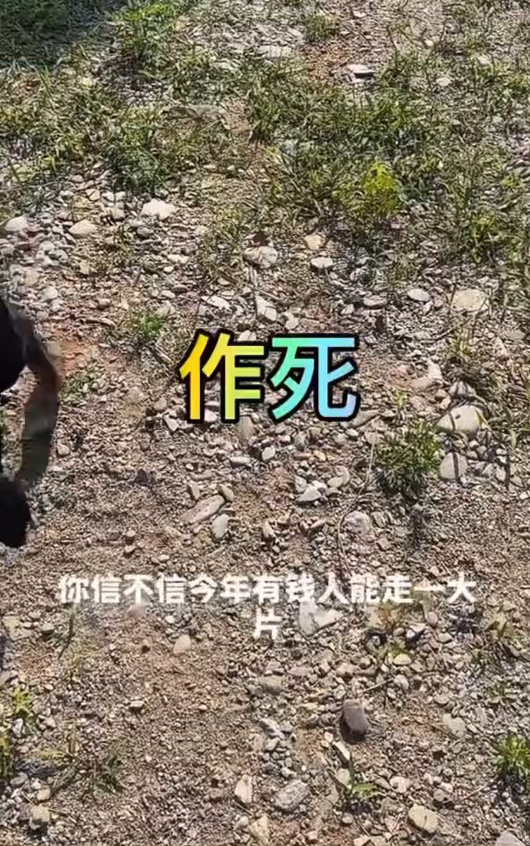 大家怎么看这位博主说的？