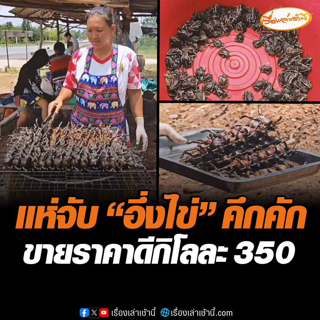 ฝนตกหนัก ชาวบ้านแห่จับ “อึ่งไข่” ตั้งขายริมทาง มีทั้งสดและย่าง สร้างรายได้งาม ขายกิโลกรัมละ 350 บาท ลูกค้าแวะอุดหนุนคึกคัก #เรื่องเล่าเช้านี้ #ข่าวช่อง3 #ข่าวภูมิภาค #กำแพงเพชร