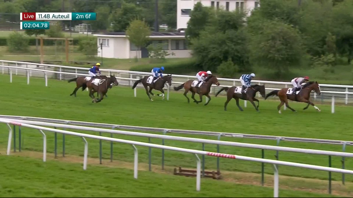 Watch the jockey in the blue and yellow colours! 🤯