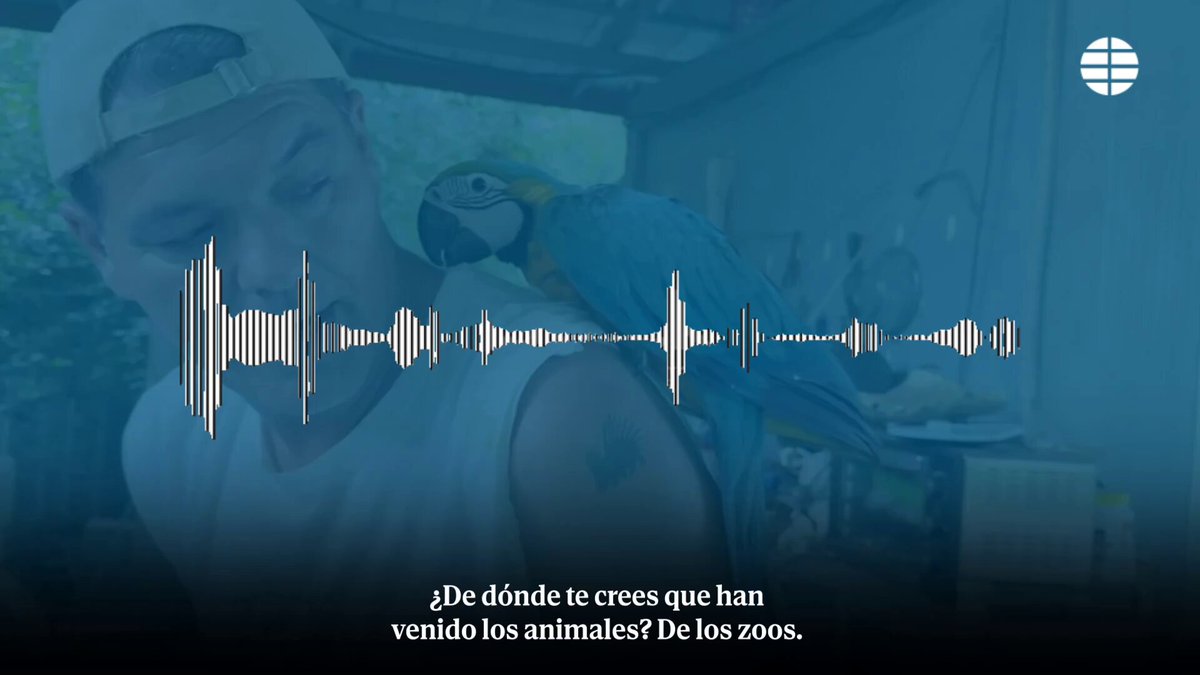 🚨Se filtra nuevo audio de Frank Cuesta por parte de El Mundo.🚨 Un audio donde se escucha a Frank hablar de los zoos en Tailandia y la venta de algunos animales. Por su parte Frank salió hace poco a quejarse por los audios que dice que están manipulados y recortados. Disclaimer: tengan cuidado con este tipo de información, porque ciertamente los audios están recortados y se desconoce la fuente para saber el contexto completo del mismo.
